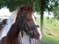 Pinto Cantona - Cantona <3
5/9 - 13
Taget af: Josephine Meyer