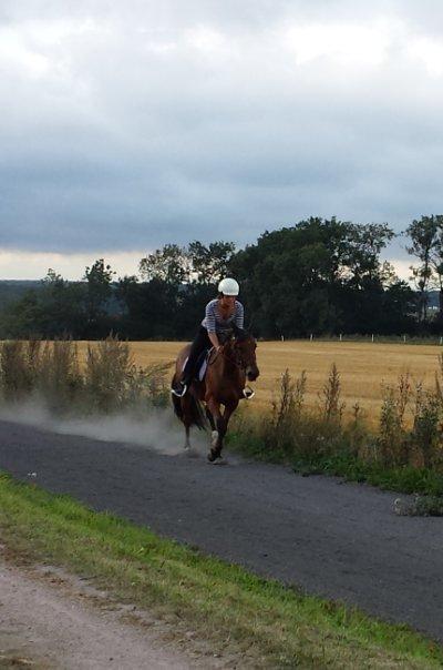 Traver Osiris Neergård billede 19