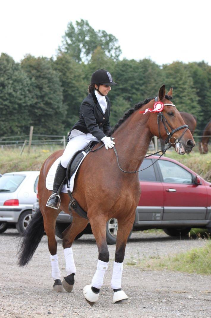Anden særlig race Calypso - stævne i jelling d. 08/09-13
første og 2 plads i sammen klasse lc2 og lc1 billede 6