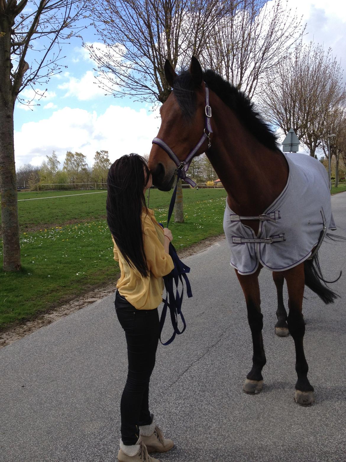 Anden særlig race Calypso billede 12