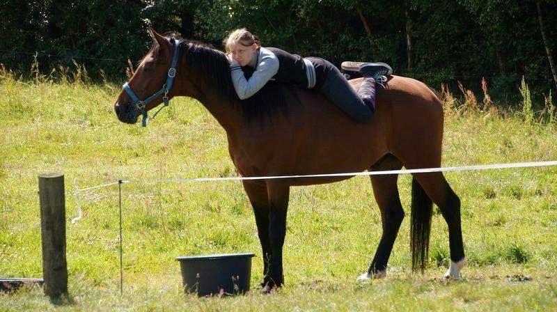 Dansk Varmblod Grønvangs Caradoc |Ducky| - Ducky og jeg på NØRKs redelejer  2013 billede 26