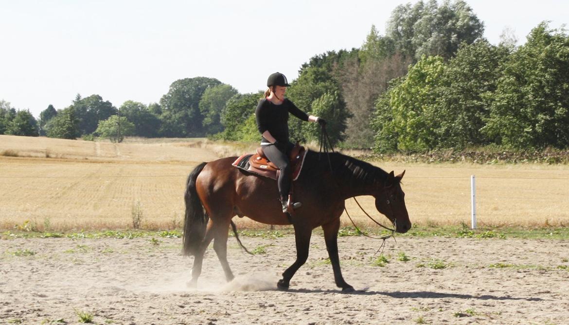 Oldenborg Livli Lyngsgård billede 10