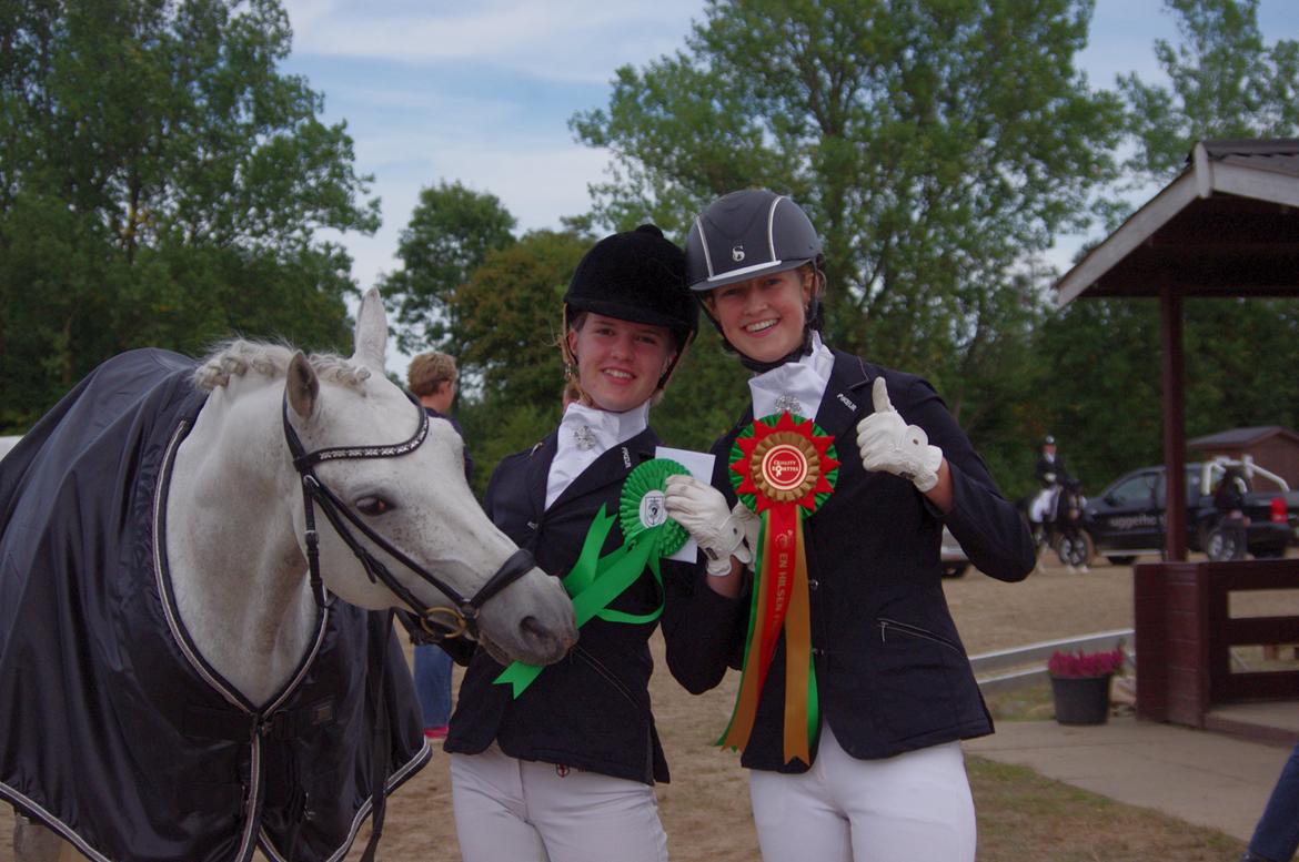DSP Toftegaard's Hurricane SPH 182 <3 *A-Pony* - Hurri, Caro og mig til landsstævne i Frederikshavn! 
En lidt træt Baby der alligevel rider 67,8% i PRT og får en 5. plads! :D billede 19
