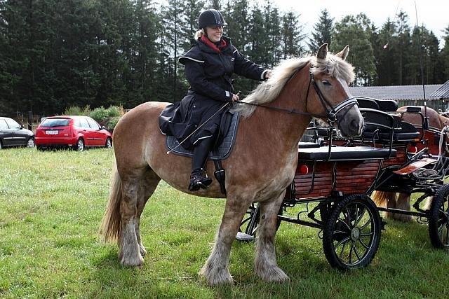 Jyde Isabella af Lavrens *solgt* - Inden tur på ca.20km. billedet er taget af René Dreier billede 6