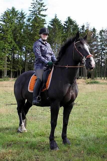 Oldenborg April's Nar     *Plysser* - 2013 inden ca.20km. tur, med Tanja som rytter. med Hackamore billede 2