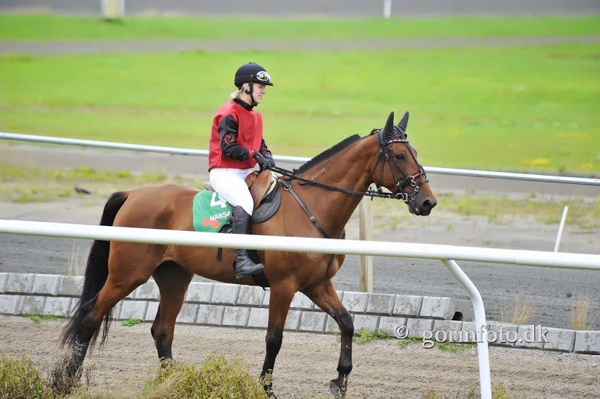Traver C My Surprise - Varmer op inden vi skal ud i monte-løb på Fyn billede 17
