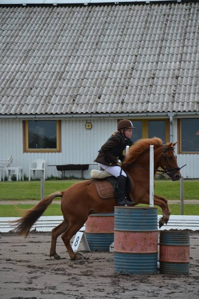 Anden særlig race Prins (Pus) - Elsker dig Prinsen.:) billede 3