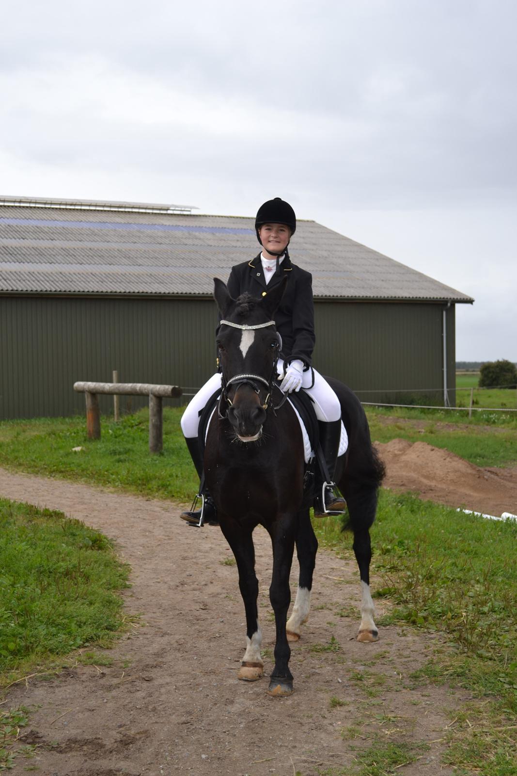 New Forest Odbjergs Anytime - Stævne i Tylstrup <3 billede 7