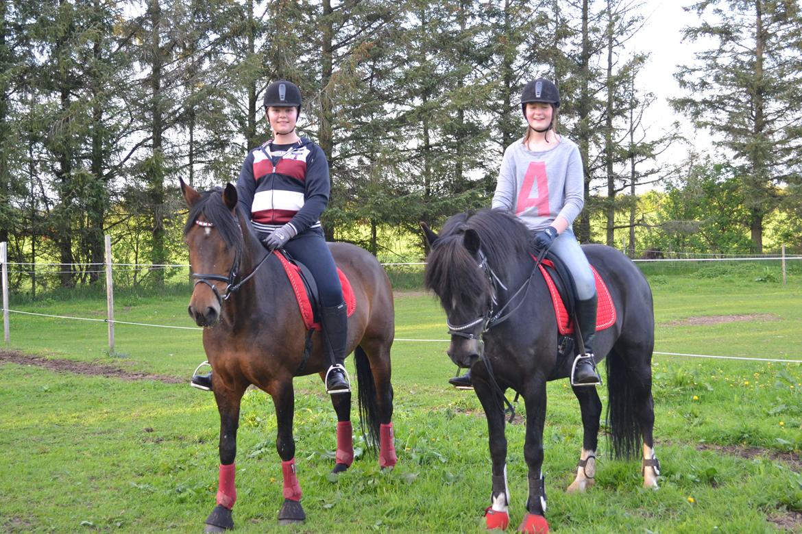 New Forest Odbjergs Anytime - Mig og Christina på halvsøstrene Anytime og Freja <3 billede 9