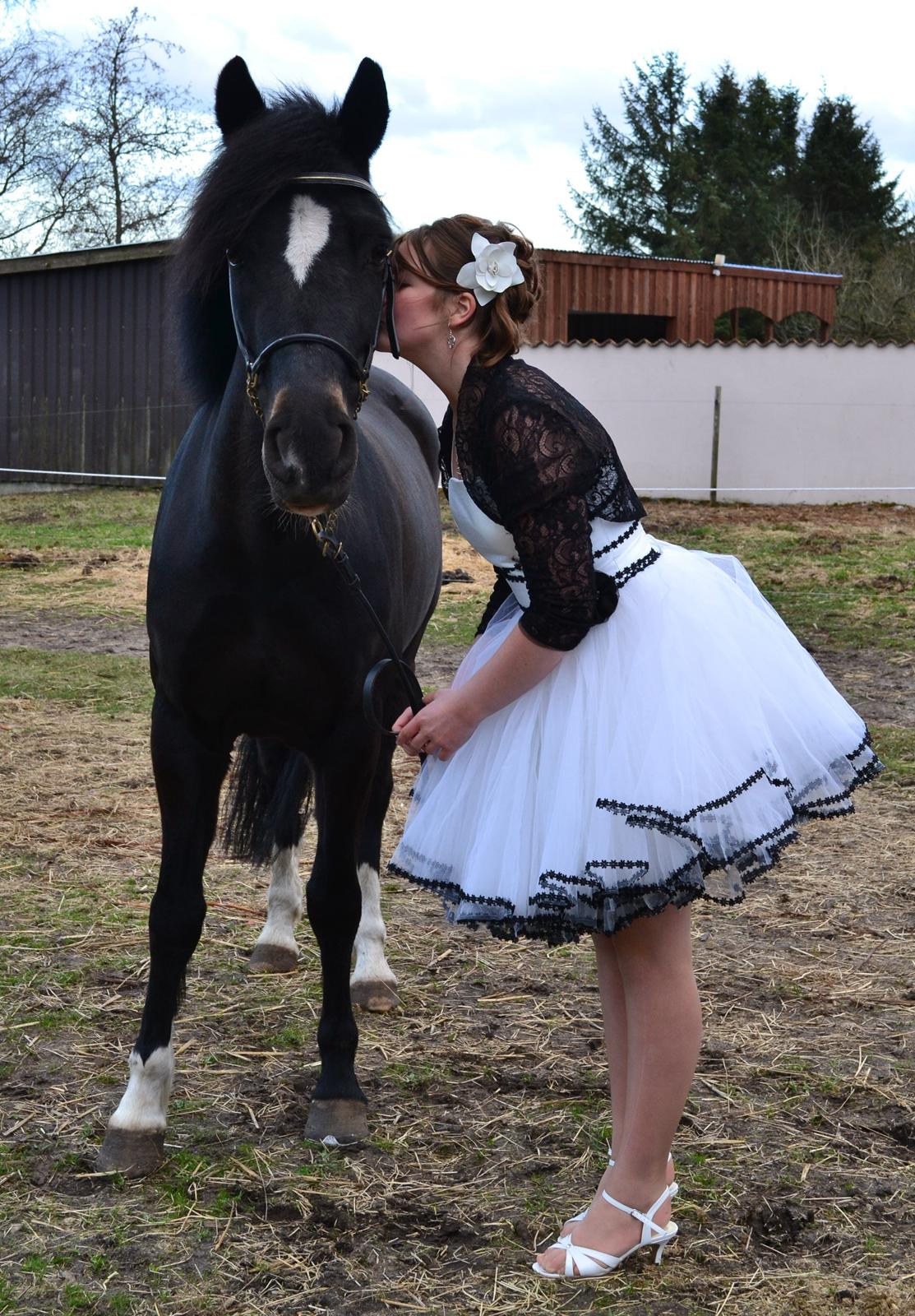 New Forest Odbjergs Anytime billede 6