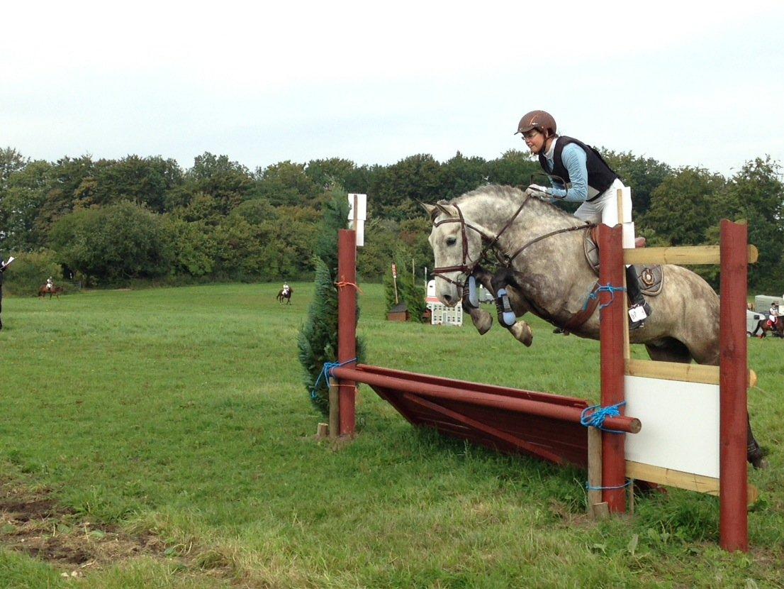 Pura Raza Española Campanero *Æseløre* - CNC80 billede 2