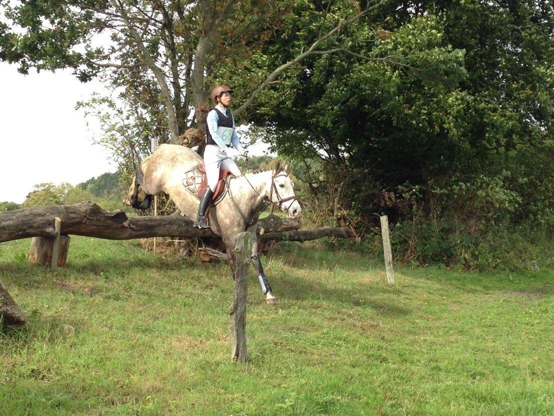 Pura Raza Española Campanero *Æseløre* - CNC80 billede 3