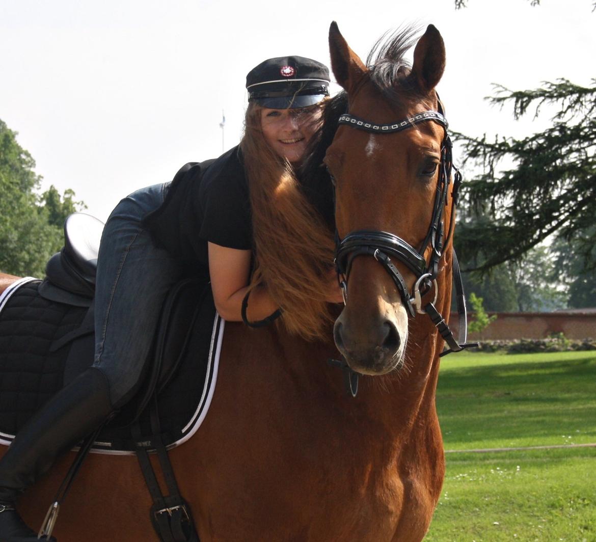 Dansk Varmblod Lillemarkens Cicato - Student 2013.  billede 11