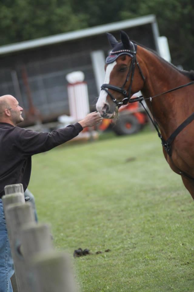 Dansk Varmblod Chateur Cornett - Min far og Chateur i Billund(-:

Foto: Anna Madsen billede 14