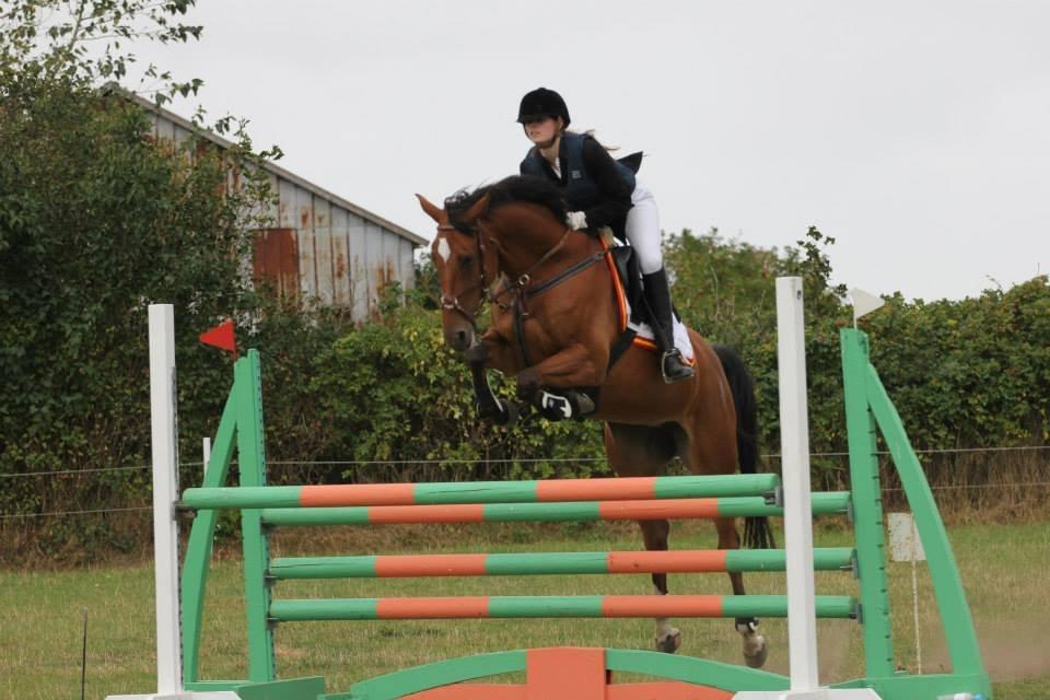 Hollandsk Varmblod Beauty LA Elsmös - 1. LB 110 cm klasse!
Hun var super sej! 1.sep. 2013 :D! billede 7