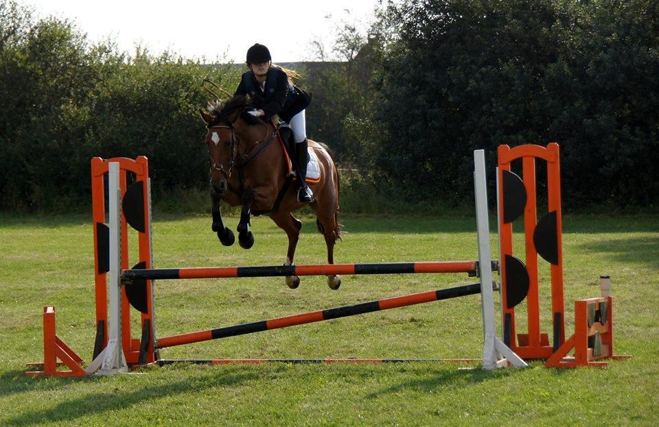 Hollandsk Varmblod Beauty LA Elsmös - første C-STÆVNE :D!
Vinder begge LC'erne (100 cm) så stolt :D!! SØR d. 8+9 sep 2013 billede 10