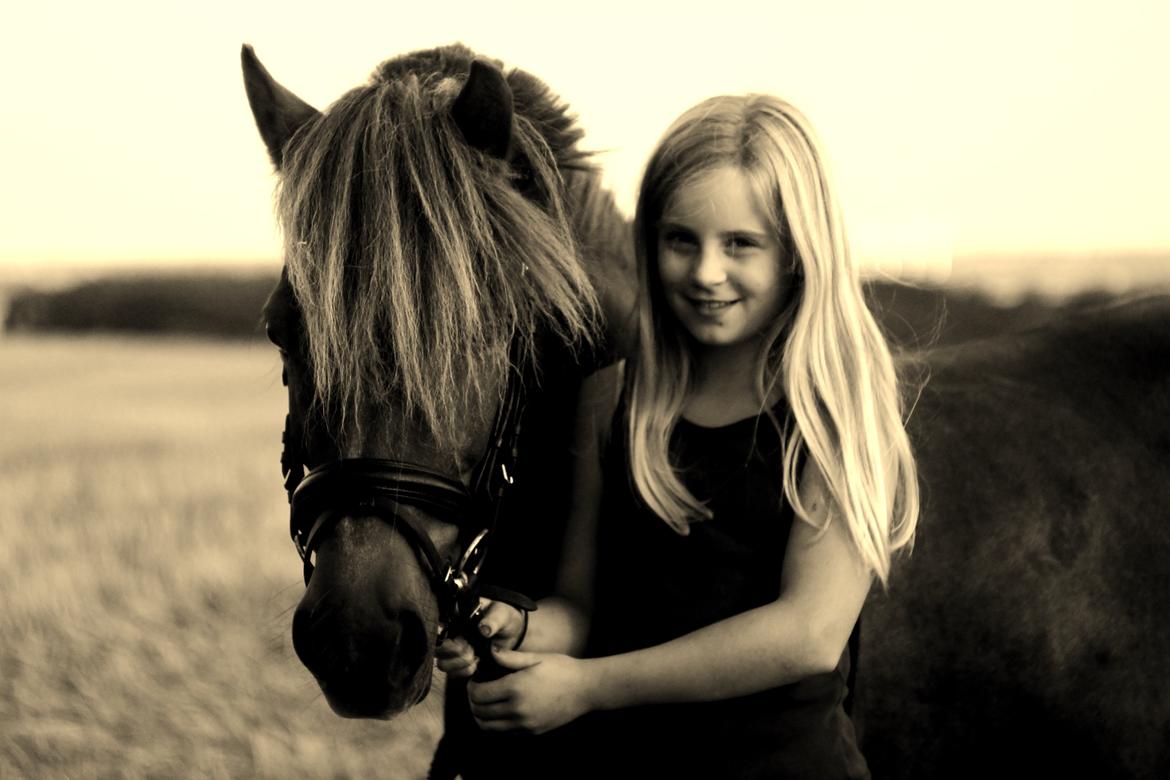 Welsh Partbred (Sec F) Frk. Flippa <3 B-PONY - FF med sin seje rytter, Signe Toft Juul Schou :) billede 2