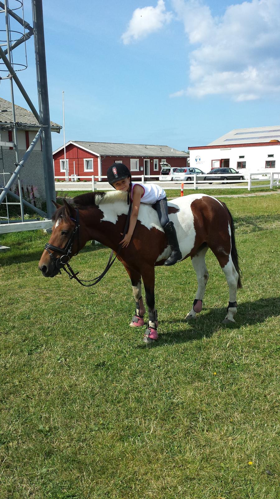 Pinto Joy Amira O'shar - Cindi og Emmelie hygger efter en ridetur billede 1