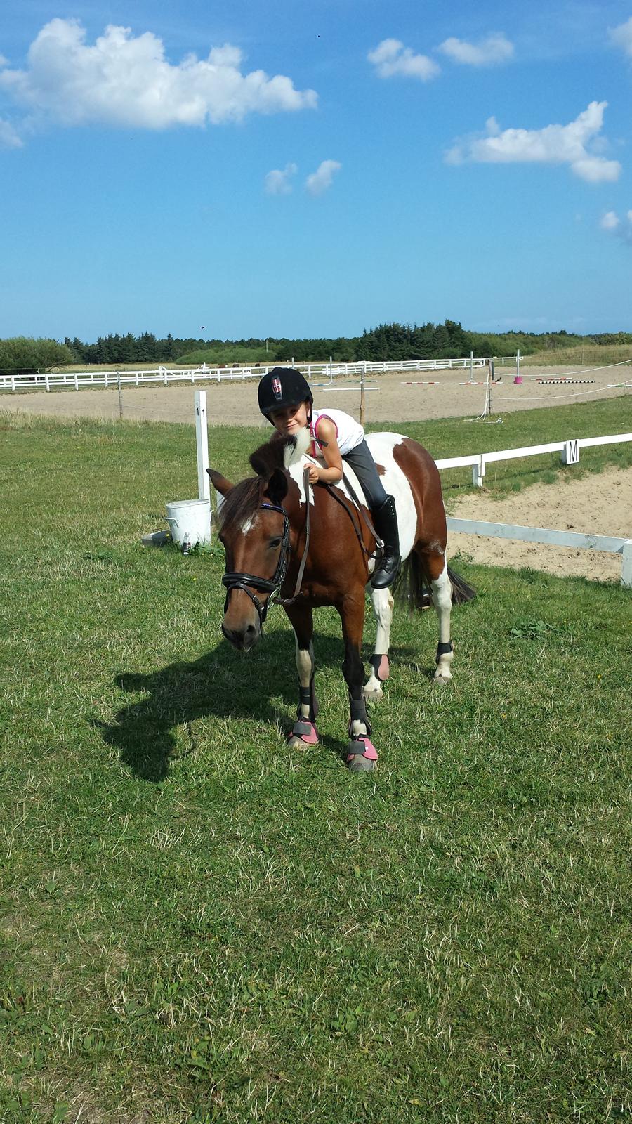 Pinto Joy Amira O'shar billede 6