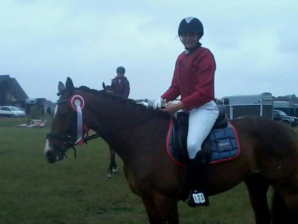 Pinto Egegaardens Kor'el billede 23