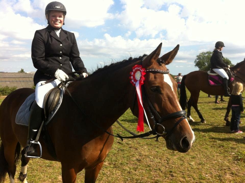 Pinto Egegaardens Kor'el billede 25