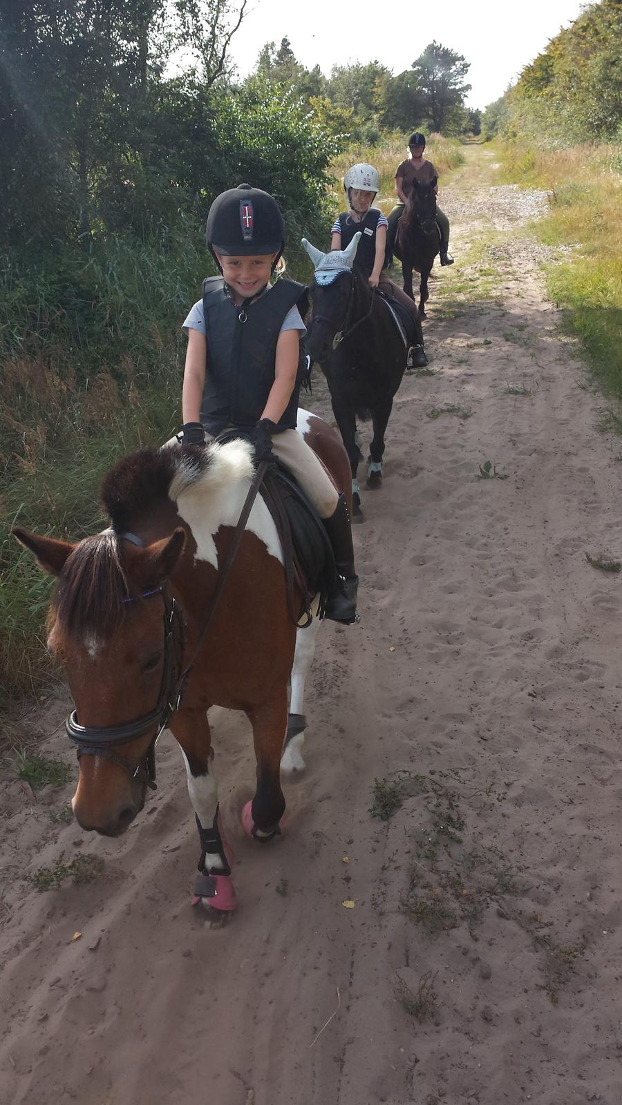 Pinto Joy Amira O'shar - på hyggetur i skoven sammen med en god veninde billede 9