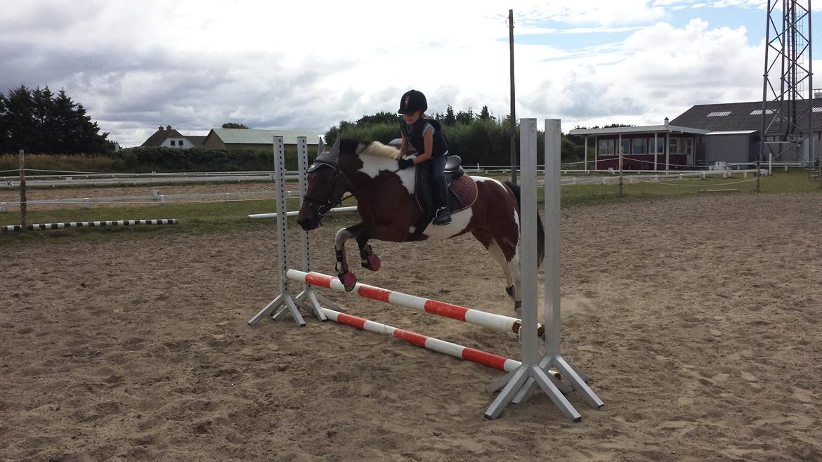 Pinto Joy Amira O'shar - Første gang Cindi og Emmelie springer billede 3