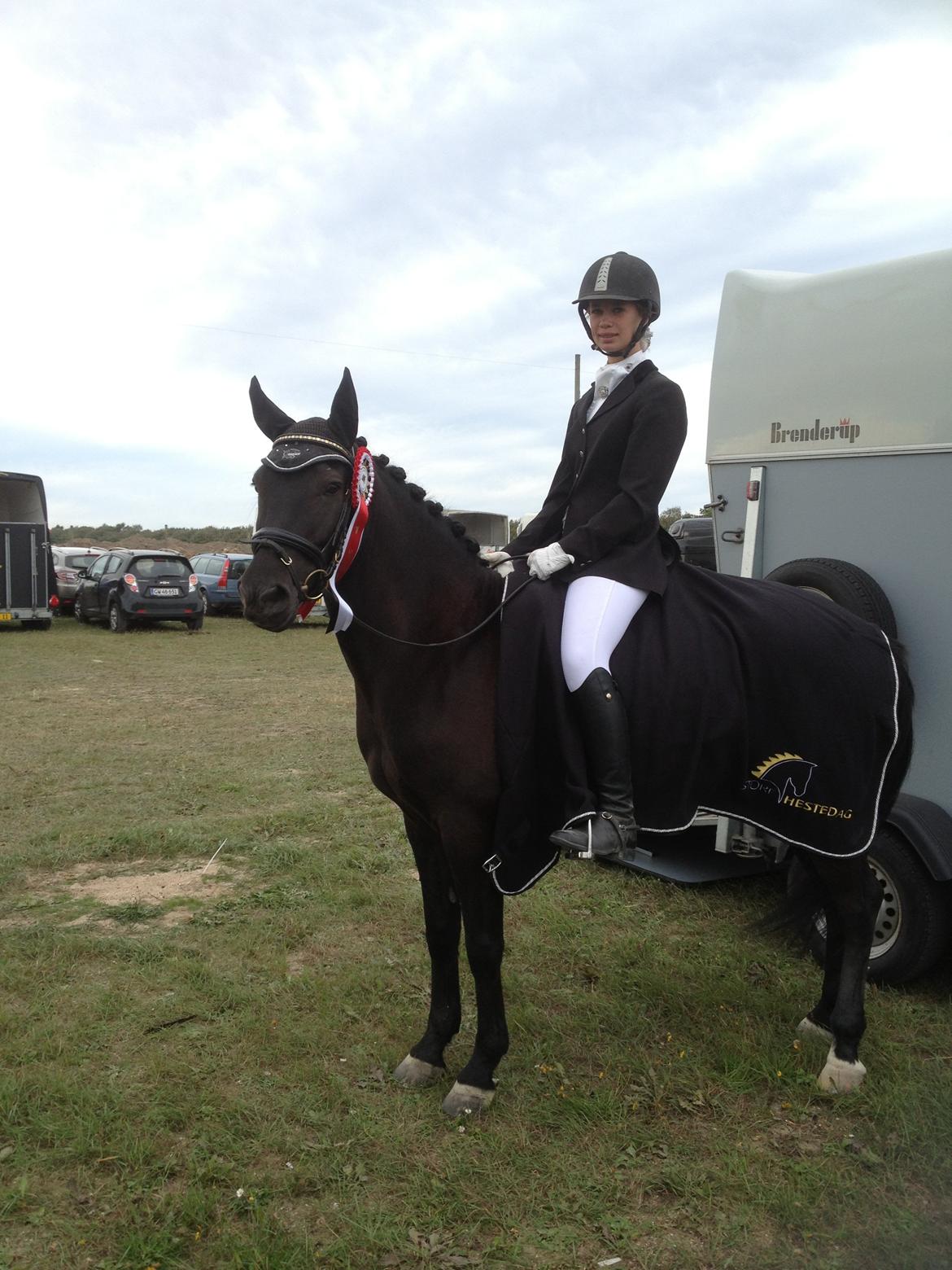 New Forest Calandias Avalanche (Caval) - St. Hestedag 7+8/9-13.  billede 9