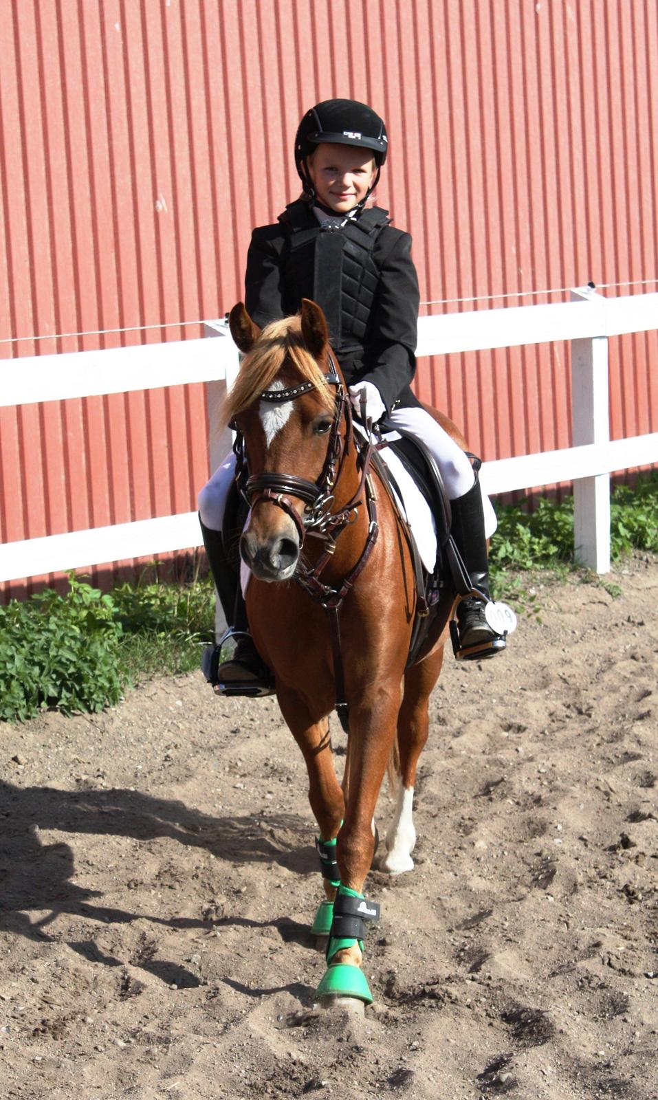 Welsh Partbred (Sec F) Valbjerggaard`s Casiopaia billede 9