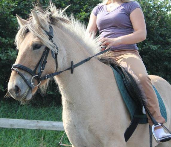 Fjordhest Bumara - Søde Megan rider min hyp<3 billede 4