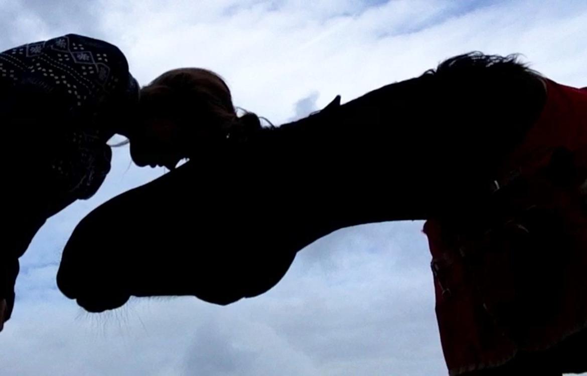 Traver Maja simoni billede 2