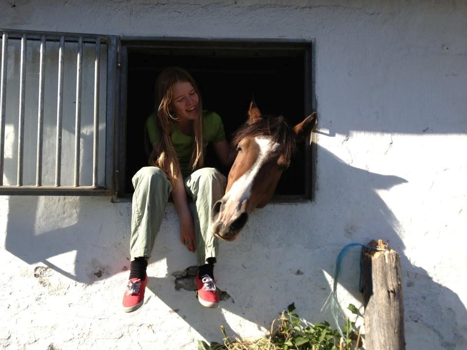 Anden særlig race Cassiopeja - Min dejlige nusse-glade pony <3  billede 4