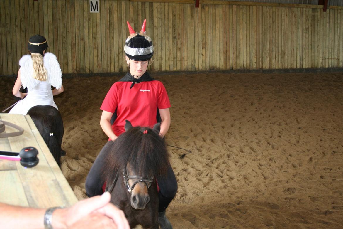 Knabstrupper Gizmo - lille pot - My soulmate <33 billede 17