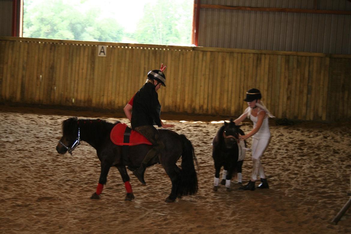 Knabstrupper Gizmo - lille pot - My soulmate <33 billede 23