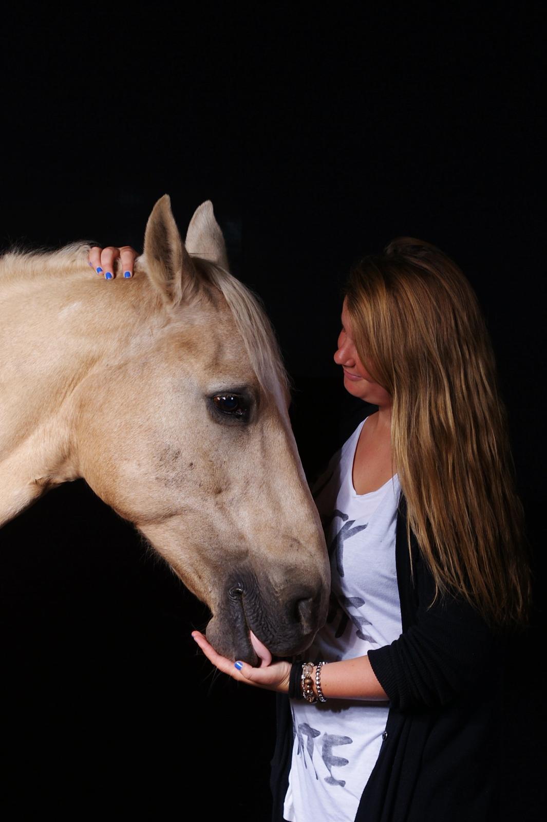 Palomino Engvangs Casanova - Hej ven :) <3 billede 8