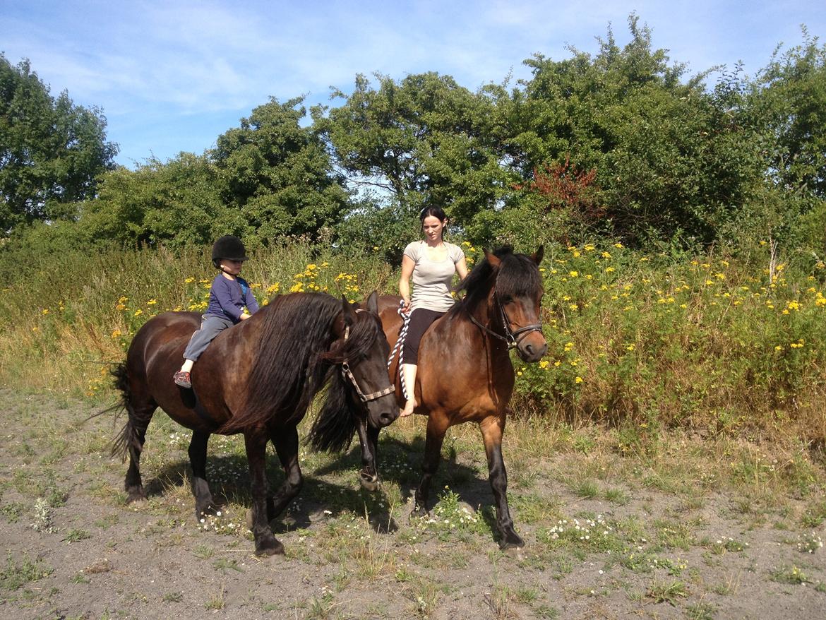 Nordsvensk Skovhest Snøvsen - Mig og min søn, Snøvsen og Erna. billede 5