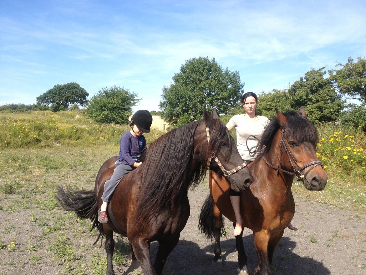 Nordsvensk Skovhest Snøvsen - Mig og min søn, Snøvsen og Erna. billede 6