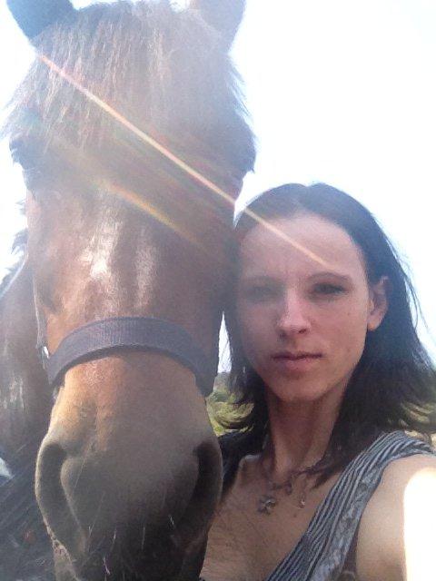 Nordsvensk Skovhest Snøvsen - Med sikkerhed ikke Danmarks mest fejlfrie equipage.. Men med garanti en af de lykkeligste.. ;-) billede 17