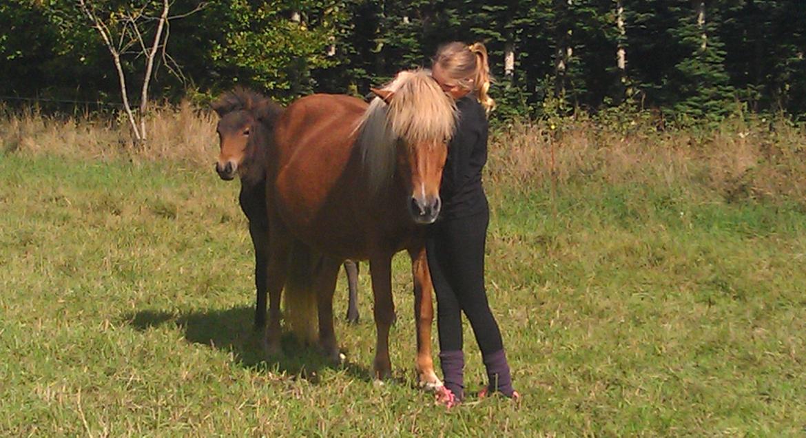 Islænder Kongur fra Fuglsang billede 19