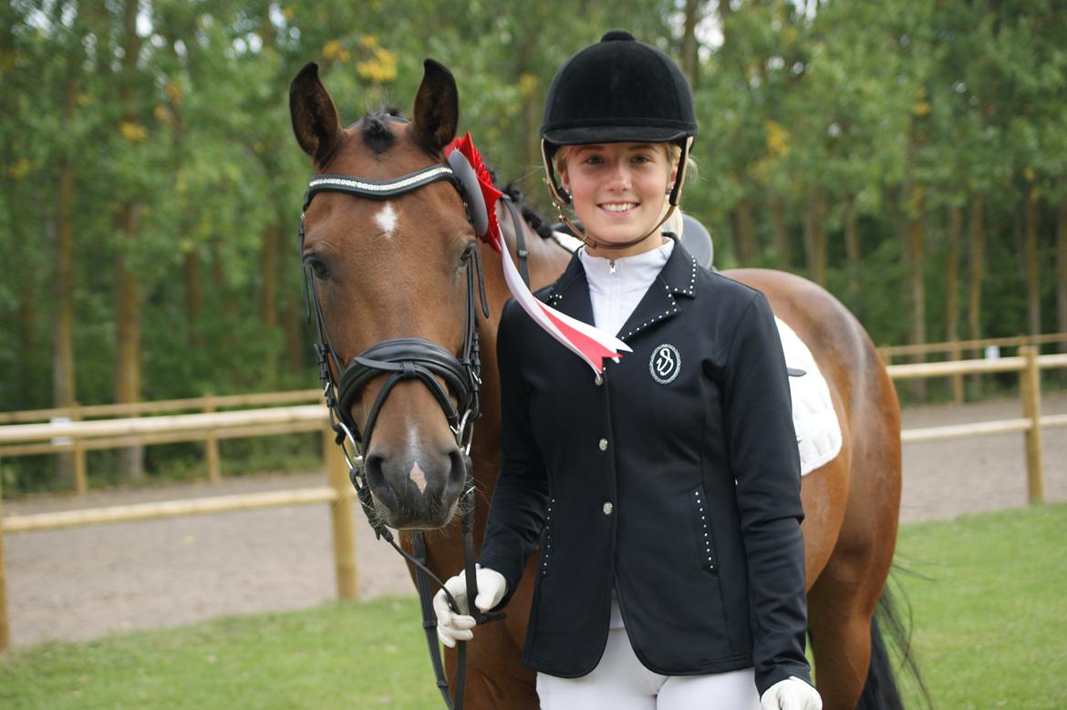 New Forest Houmarks Arcibald - LB2 til 64,81 % billede 18