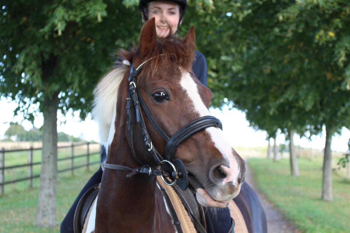 Pinto Cantona - Elsker dig basse! <3
5/9 - 13
Taget af: Josephine Meyer billede 8