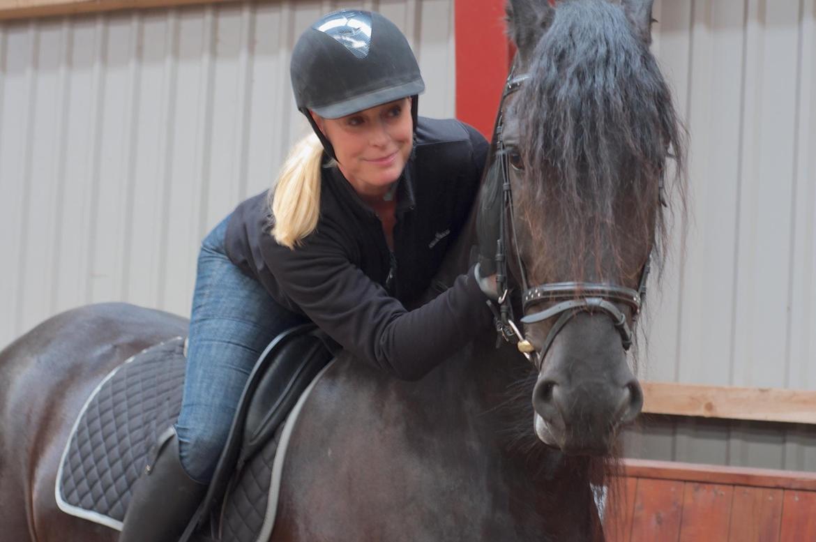 Frieser Zaffa AF Fugleholt (mors) billede 15