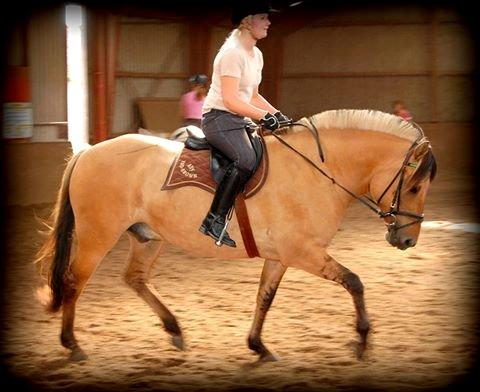 Anden særlig race Pepsi billede 24