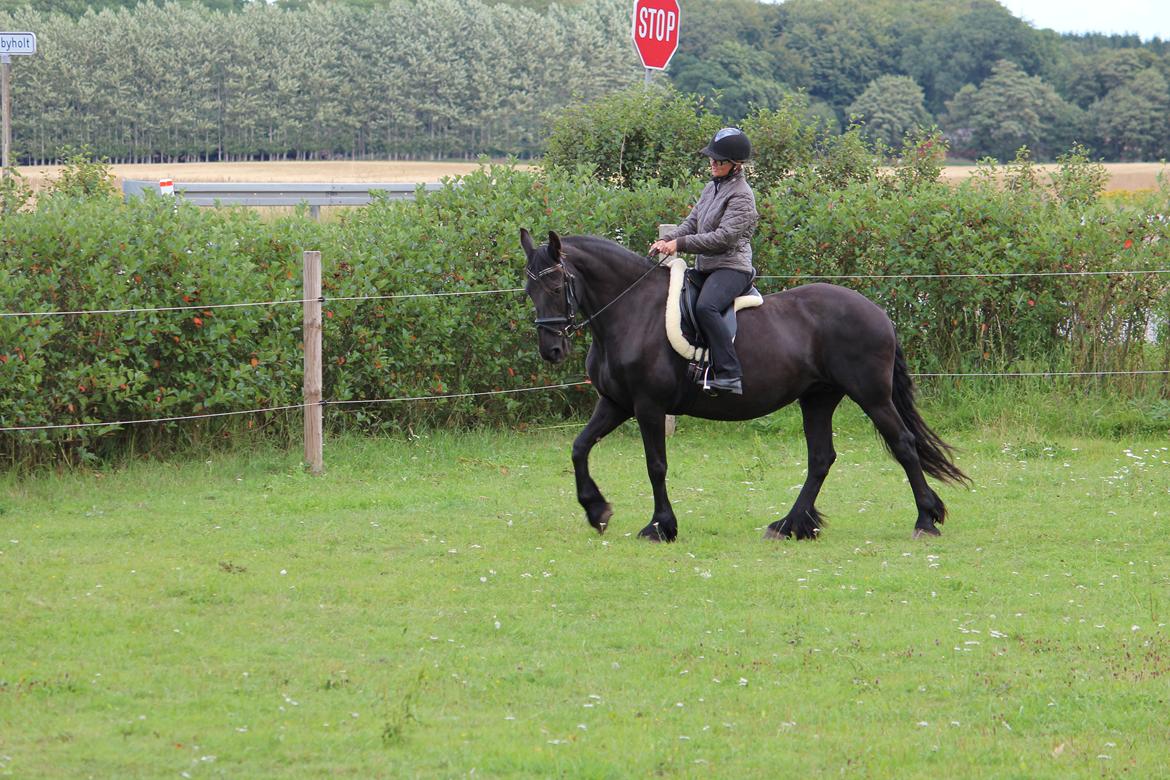 Frieser Wietske fan't Slyp - Lige 5 minutter mere. billede 13