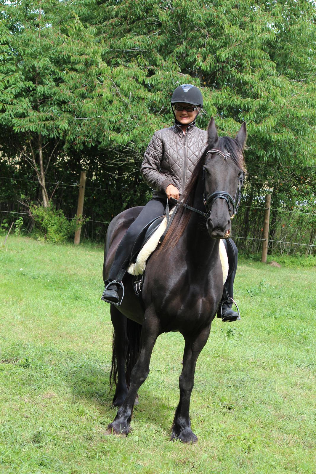 Frieser Wietske fan't Slyp - Tilbage fra ridetur, så skal der skridtes af. billede 12
