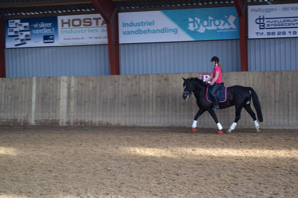 New Forest Odbjergs Anytime - Undervisning den 11-09-13 :) billede 10