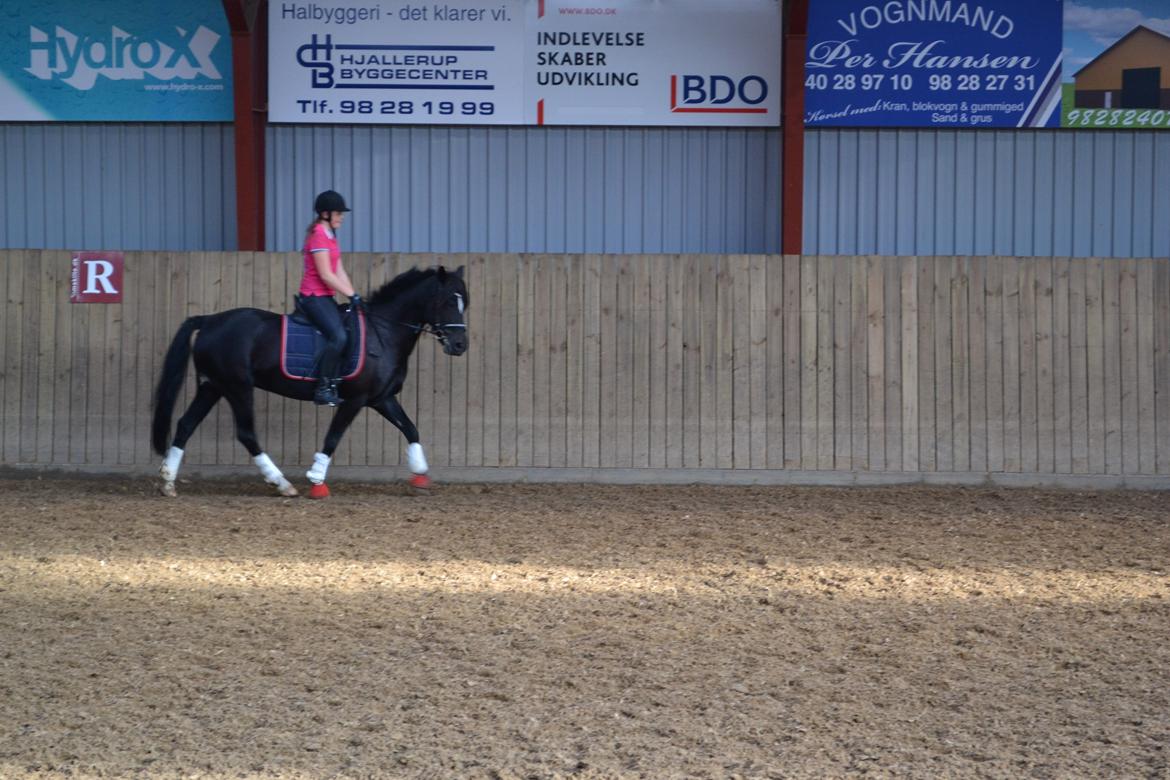 New Forest Odbjergs Anytime - Undervisning den 11-09-13 :) billede 12