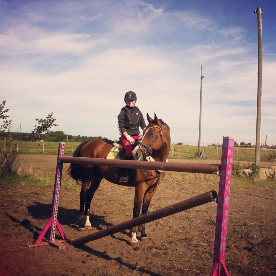 Dansk Varmblod Electric | Egon | - 140 på min stjerne <3 billede 2