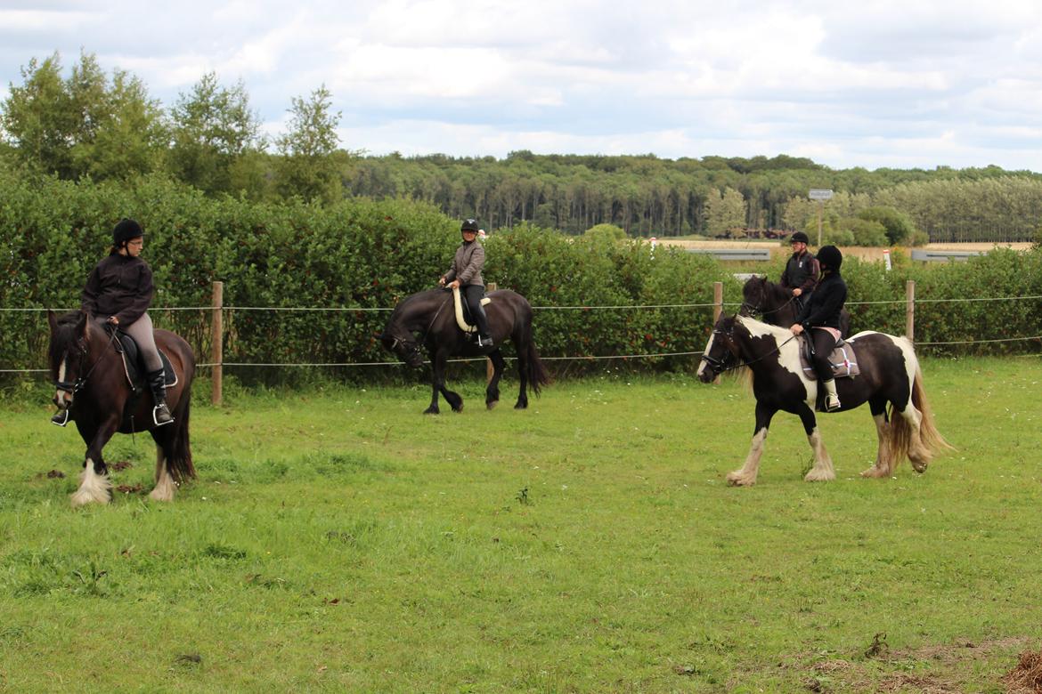 Irish Cob Lærkegaardens Sweetie - Vores søde ridepige Mille, på ryggen af Sweetie. billede 9