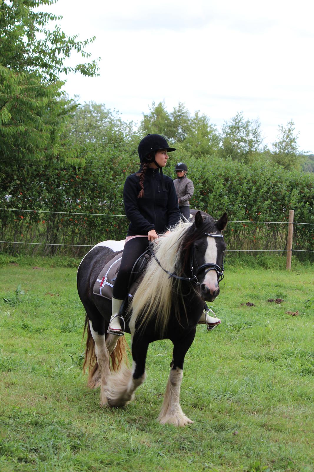 Irish Cob Shakila´s Shanti - Min datter Louise på ryggen af Shanti. Hyggeligt. billede 13